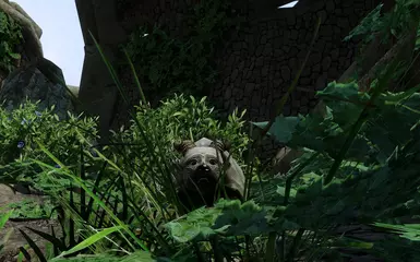 :D