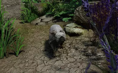 :D
