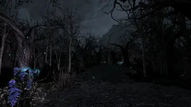 No ENB