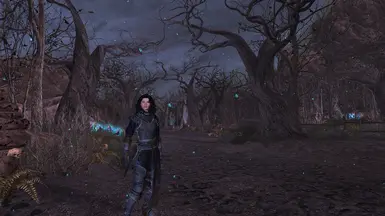 No ENB