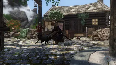 Cat! (Cat not included)