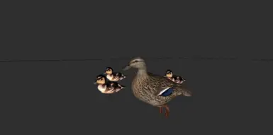 Ducklings are still a little derpy but we love them anyway :)