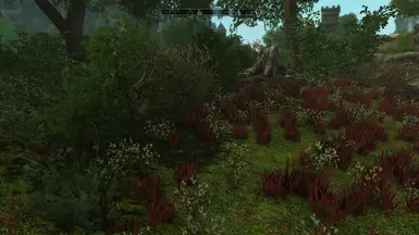 Smaller Grass