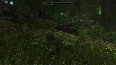 Smaller Grass