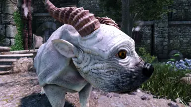 Leoran Texture Upscaled