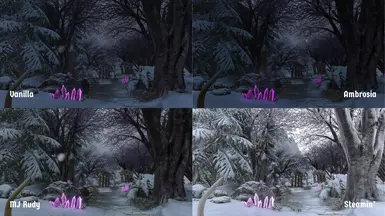 Crystal Forest, Overcast/Snowy (in shadow), Late Afternoon