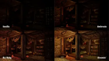 Abandoned House (Interior), Late Afternoon