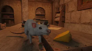 Mihail Sewer Rats - Enderal Integration