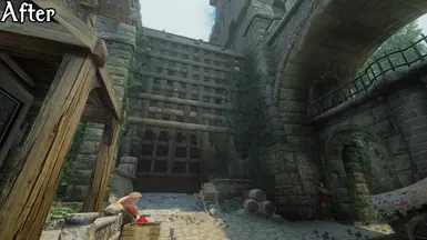 Inside Ark - Foreign Quarter