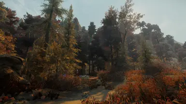 Autumn