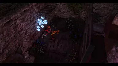The Father's Garden