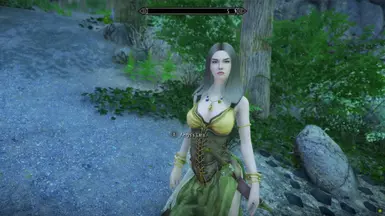 Basic - Wench Berserker
