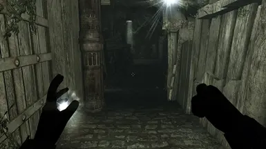 Magelight Pro