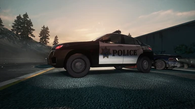BMW X6 police