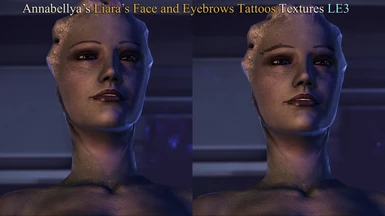 LE3 Default Face with new Eyebrows Tattoos