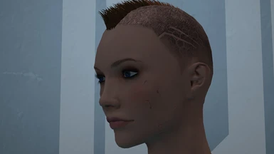 Update 2.4 - Basic Opac_M02 lashes and the Fade Hex Scalp Texture with Mohawk. Changed some colors around also.