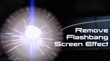 Remove Flashbang Screen Effect