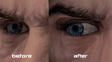 lashes