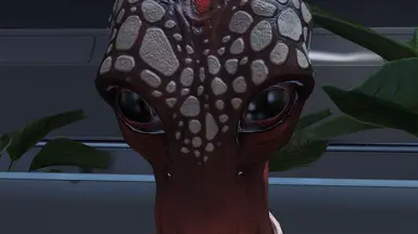 Salarian Eyes