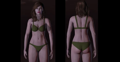 Morning's Underwear Retextures for Femshep LE2 at Mass Effect Legendary  Edition Nexus - Mods and community
