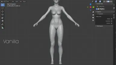 Body - Blender Comparison
