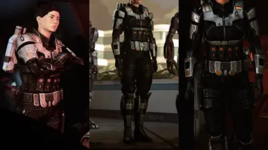New Cerberus Armor