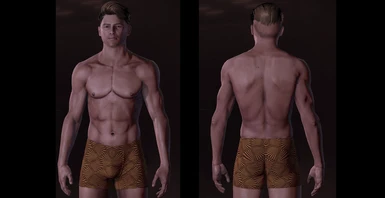 Morning's Underwear Retextures for Maleshep LE2 at Mass Effect