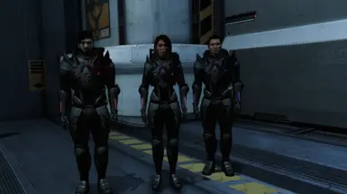 With Kaidan Alenko's Armory & Virmire Savior, the whole squad can match