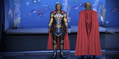 Thor Outfit Without the Helmet