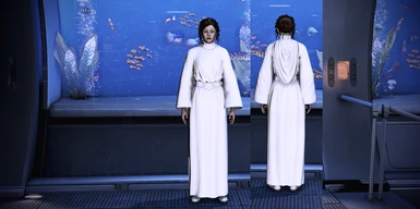 Leia Outfit Without Hood