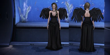 Phoenix Outfit with Wings Black
