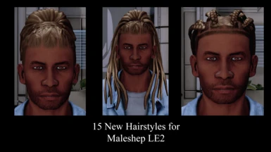 Morning's Afro Hairs for Maleshep LE2