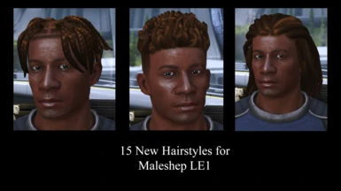 Morning's Afro Hairs for Maleshep LE1