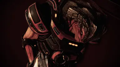 Grunt succeeds as Second Fireteam Leader