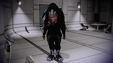N7 Hoodie Casual Option