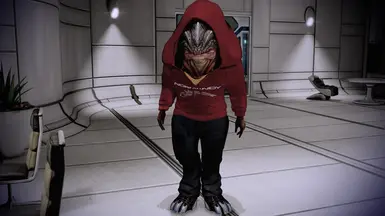 Normandy Hoodie Red Casual Option