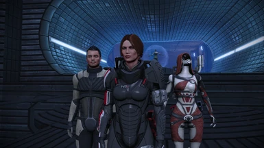 Used with ME2 Heavy N7 Armor, Shep Only being swapped. Working perfectly. 