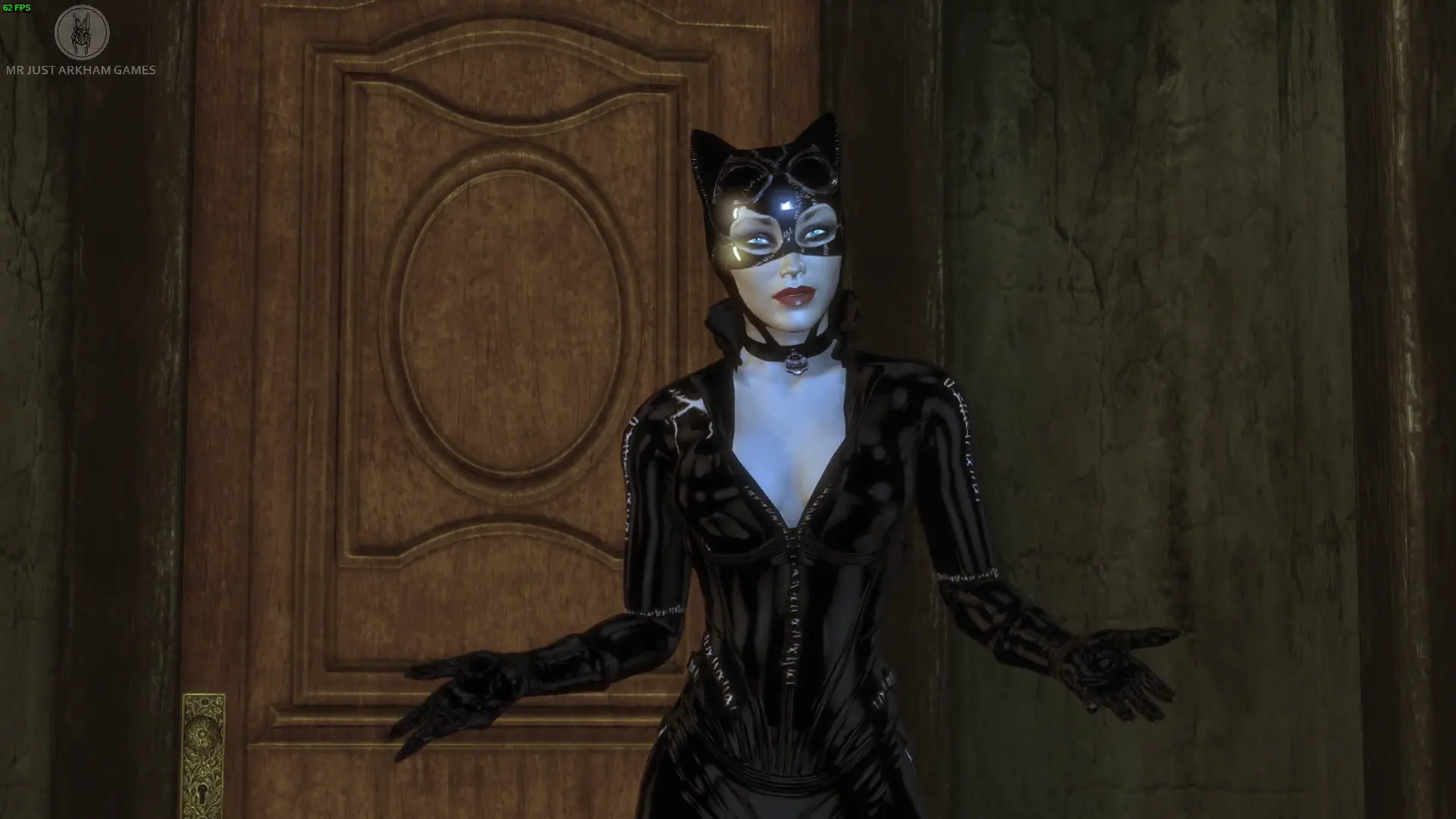 batman arkham city catwoman animated mod