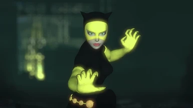 240 Animated Catwoman