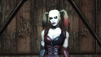 Harley Quinn Catwoman skin (New Suit Slot)