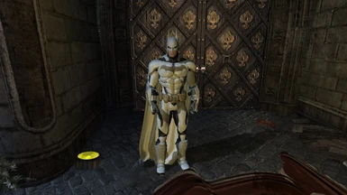 White And Gold (New Suit Slot)