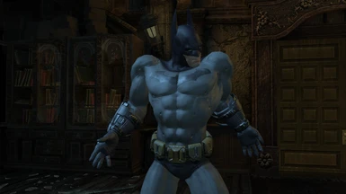 Batman New Suit Slot For Catwoman