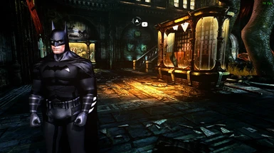 Gotham Batsuit
