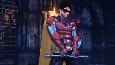 Arkham Origins Robin Alt