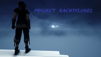 Project Nachtflugel