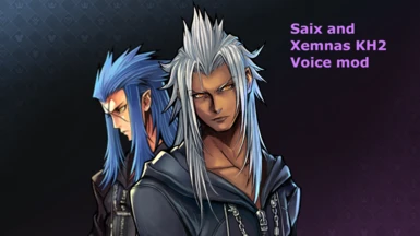 KH2 Saix and Xemnas battle lines