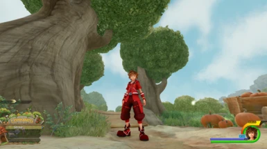 Sora's New Red Suit