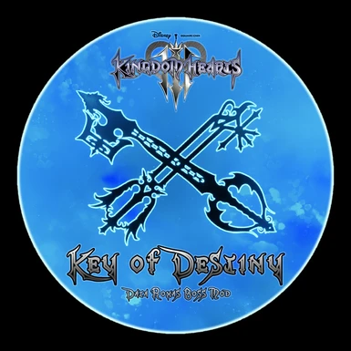 Key of Destiny - Data Roxas Boss