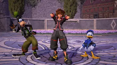 donald and goofy kingdom hearts