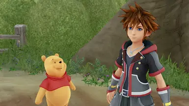 Pooh Sora